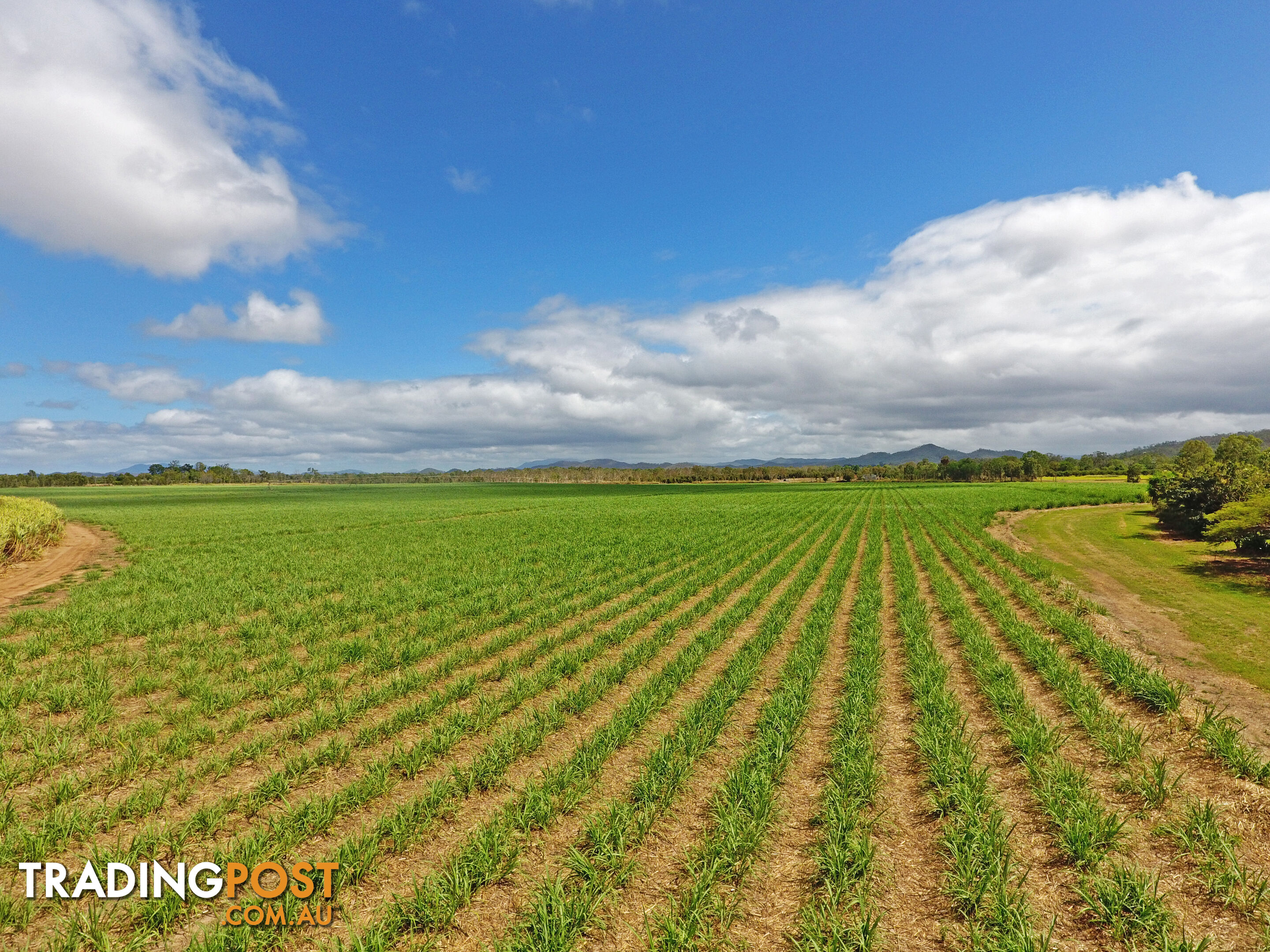 Biboohra QLD 4880