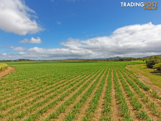 Biboohra QLD 4880