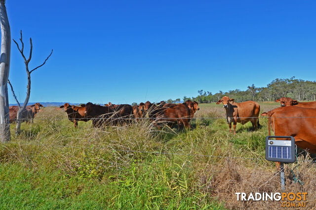 142 Pickford Road Biboohra QLD 4880