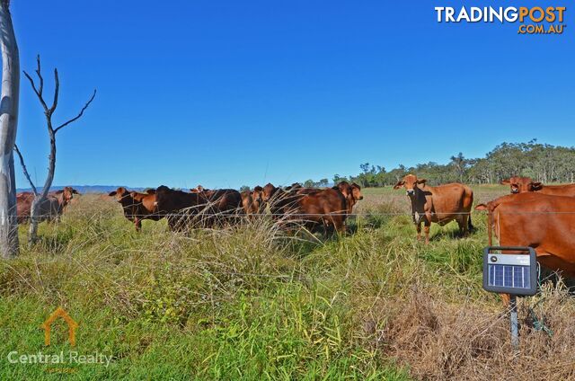 142 Pickford Road Biboohra QLD 4880