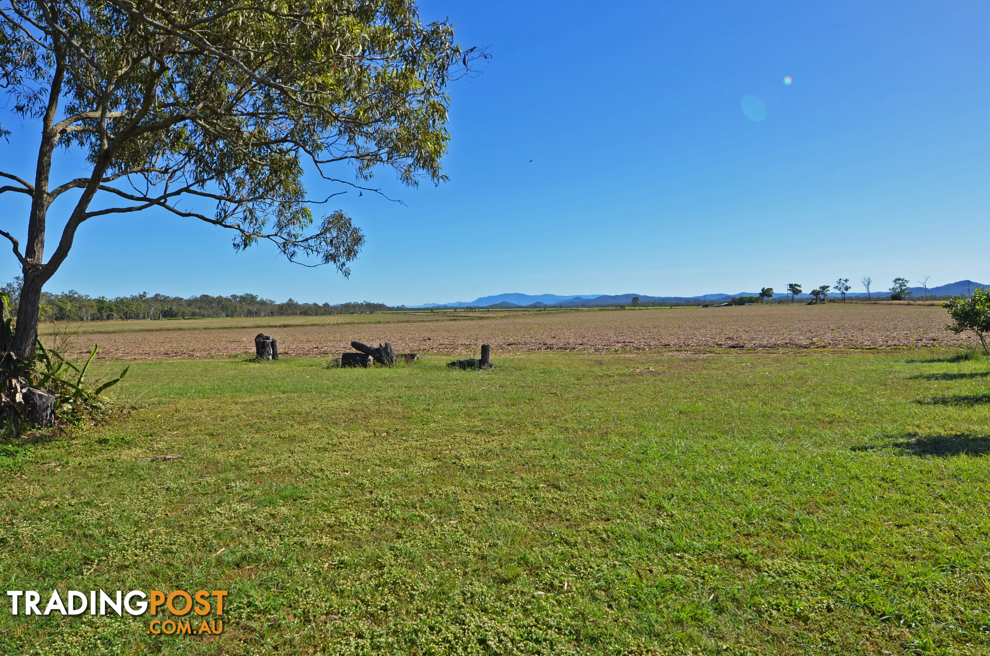 142 Pickford Road Biboohra QLD 4880