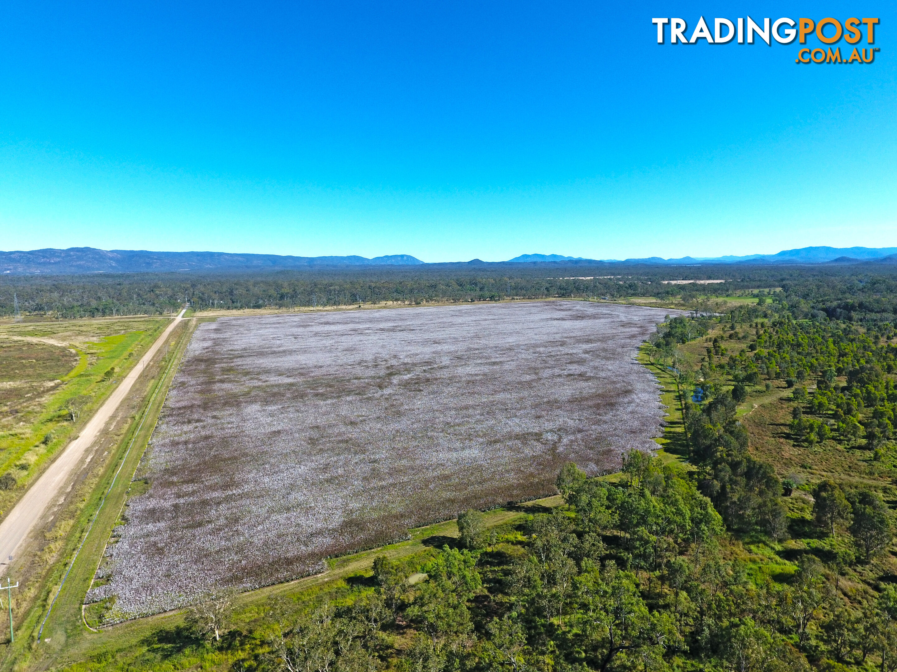 142 Pickford Road Biboohra QLD 4880