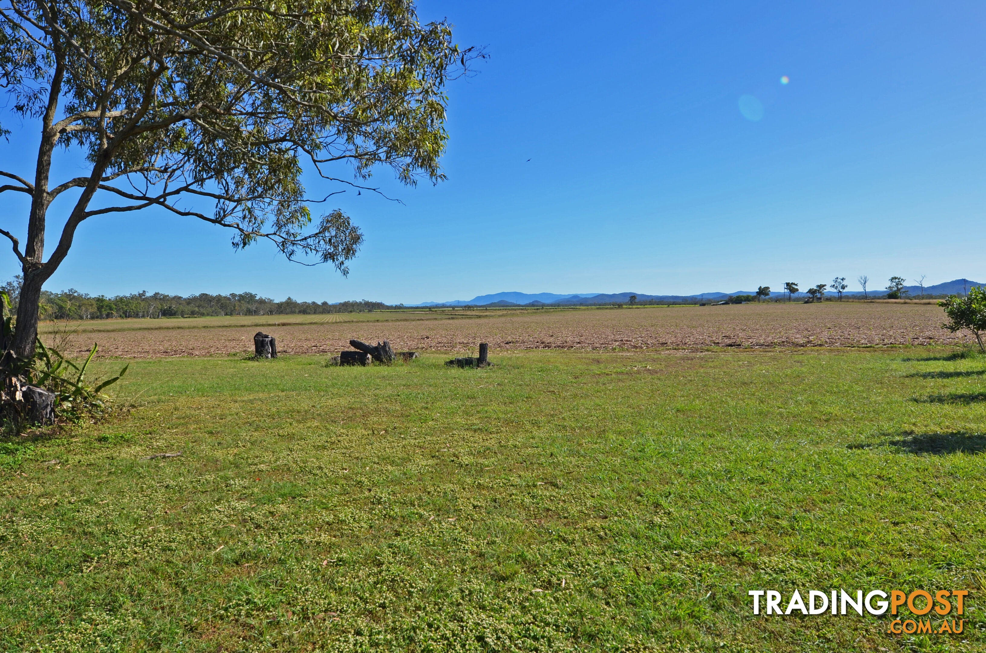 142 Pickford Road Biboohra QLD 4880