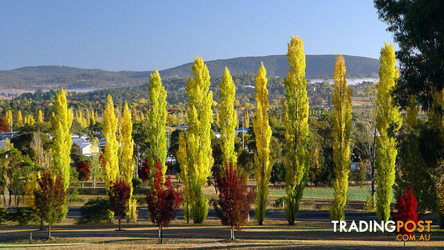 ARMIDALE NSW 2350