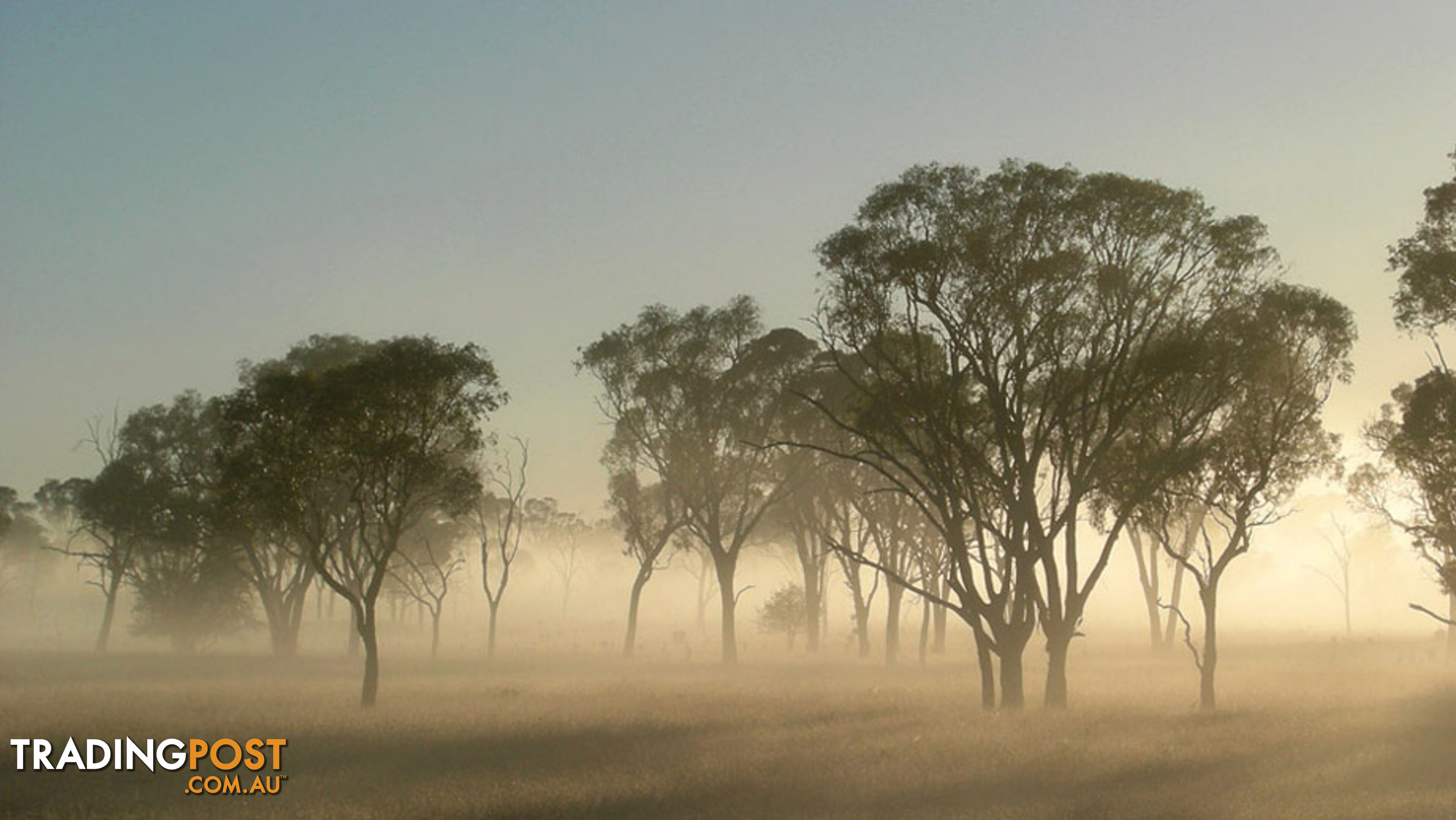 ARMIDALE NSW 2350