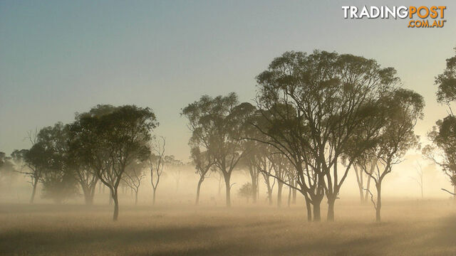 ARMIDALE NSW 2350