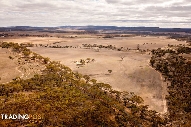 Lot 344/ Hopetoun-Ravensthorpe Road RAVENSTHORPE WA 6346