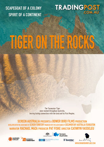 Tiger on the Rocks (Lifetime Access)