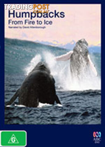 Humpbacks: From Fire to Ice