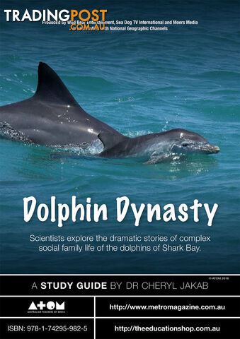 Dolphin Dynasty ( Study Guide)