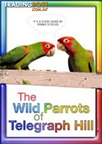 Wild Parrots of Telegraph Hill, The