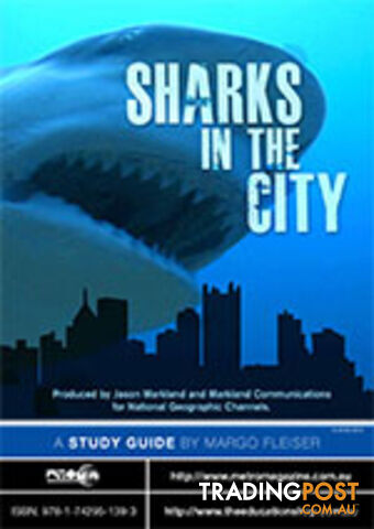 Sharks in the City