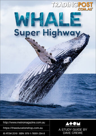 Whale Super Highway ( Study Guide)