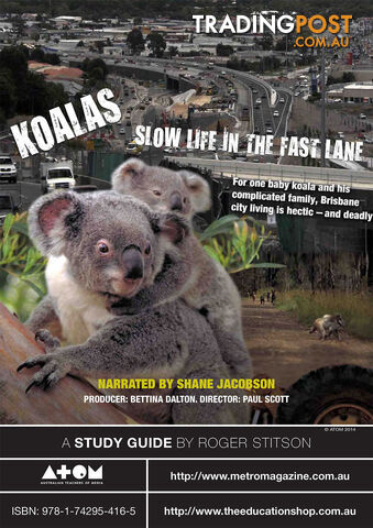 Koalas: Slow Life in the Fast Lane ( Study Guide)