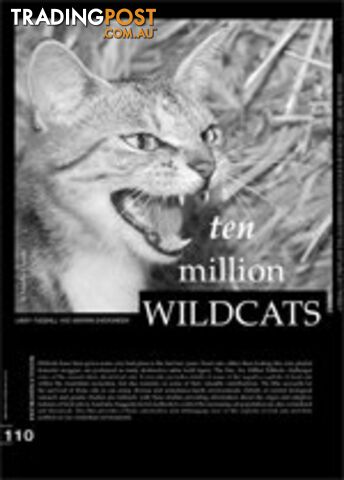 Ten Million Wildcats ( Study Guide)