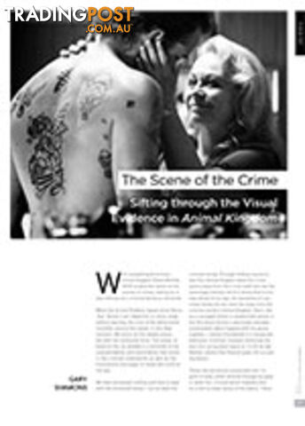 The Scene of the Crime: Sifting through the Visual Evidence in Animal Kingdom