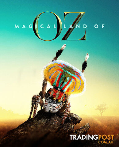 Magical Land of Oz (Lifetime Access)