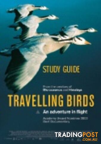 Travelling Birds ( Study Guide)