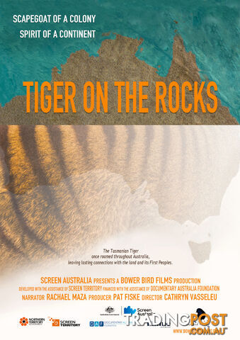Tiger on the Rocks (1-Year Rental)