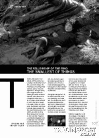 'The Fellowship of the Ring': The Smallest of Things (Film as Text)