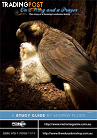 On a Wing and a Prayer ( Study Guide)