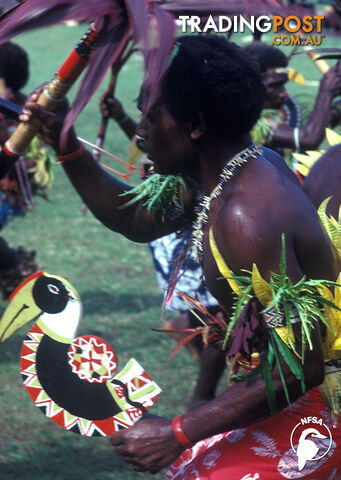 Solomon Islands: Wogasia (3-Day Rental)