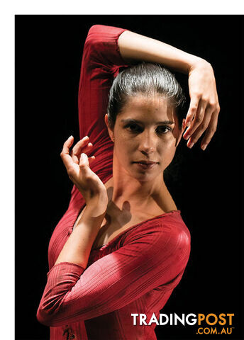 Dancing Between Two Worlds: 'Ella', Ballet and the Limits of Self-expression
