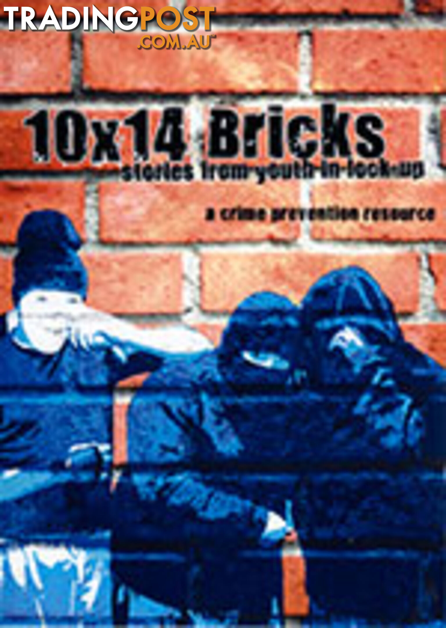 10x14 Bricks: Stories from Youth in Lock-up