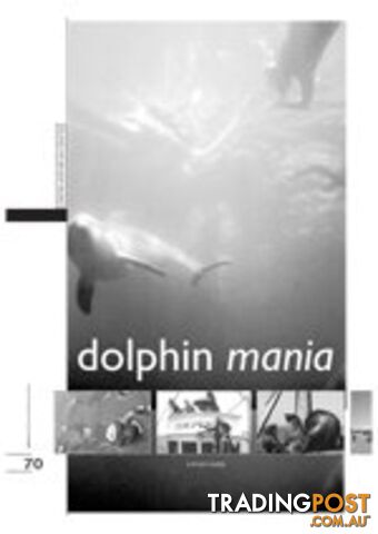 Dolphin Mania (Study Guide)