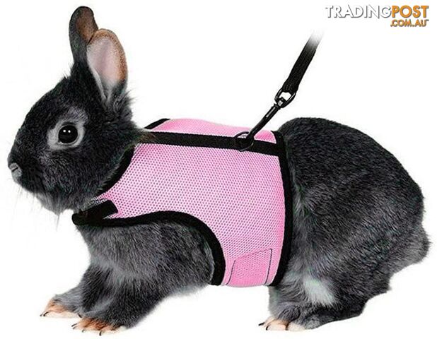 Ueetek Soft Harness with Lead for Rabbits Bunny Little Pets Size XL (Pink) - 191579474634 - GFT-B071GHYYT5