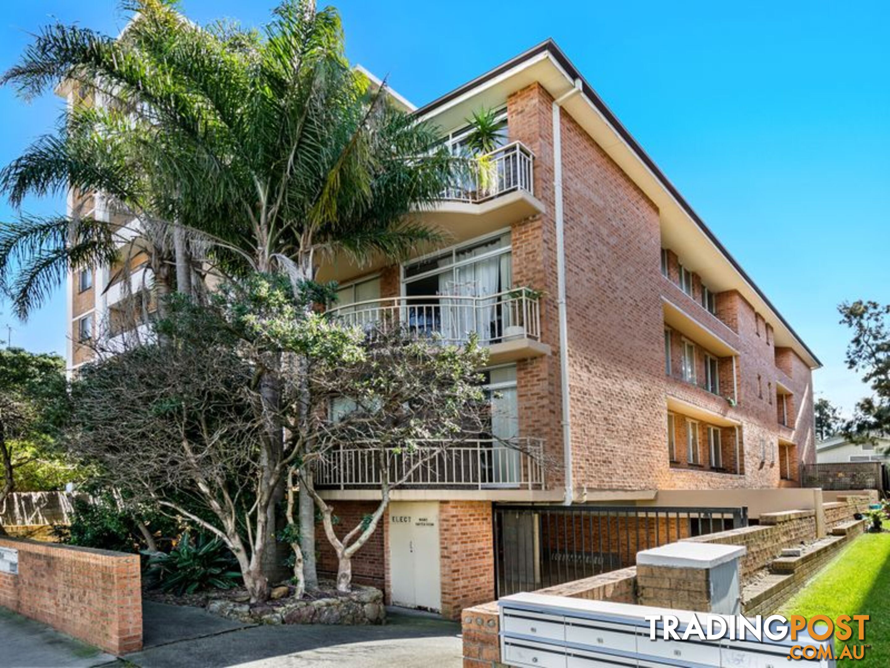 1/244 Bondi Road BONDI NSW 2026