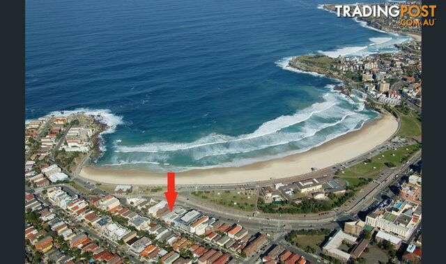 4/242 Campbell Parade BONDI BEACH NSW 2026