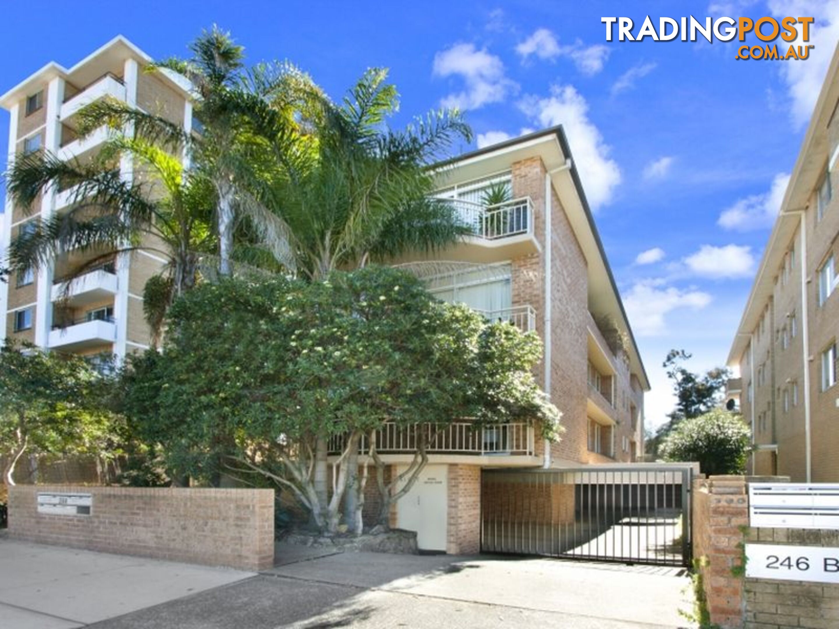 4/244 Bondi Road BONDI NSW 2026