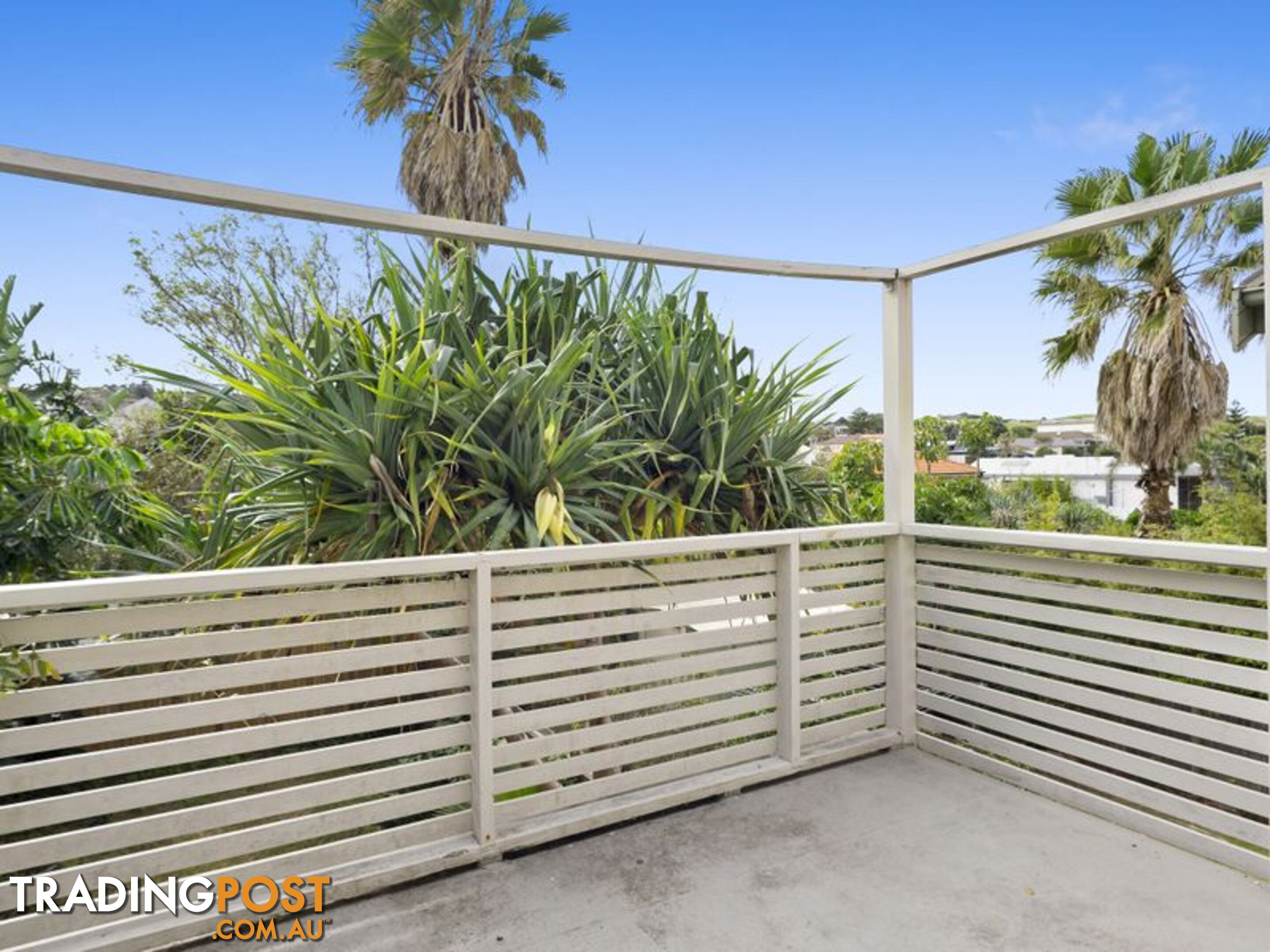 16 Brighton Boulevard BONDI BEACH NSW 2026