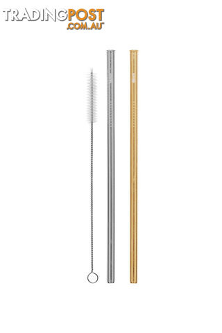 Cheeki 2 Pack Straight Stainless Steel Straws - Silver, Gold & Cleaning Brush - SS2PSG1