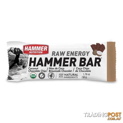 Hammer Nutrition Bar - Coconut Chocolate Chip - HBCC