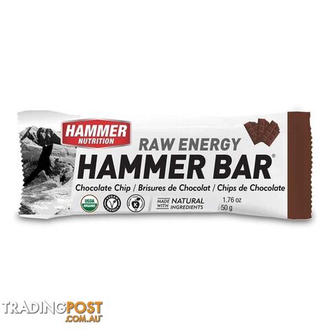 Hammer Nutrition Bar - Choc Chip - HBCH