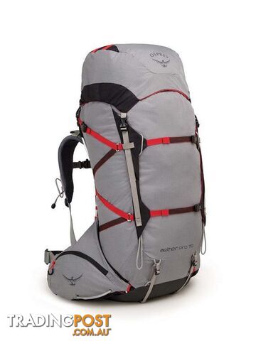 Osprey Aether Pro 70L Lightweight Hiking Backpack - Kepler Grey -...