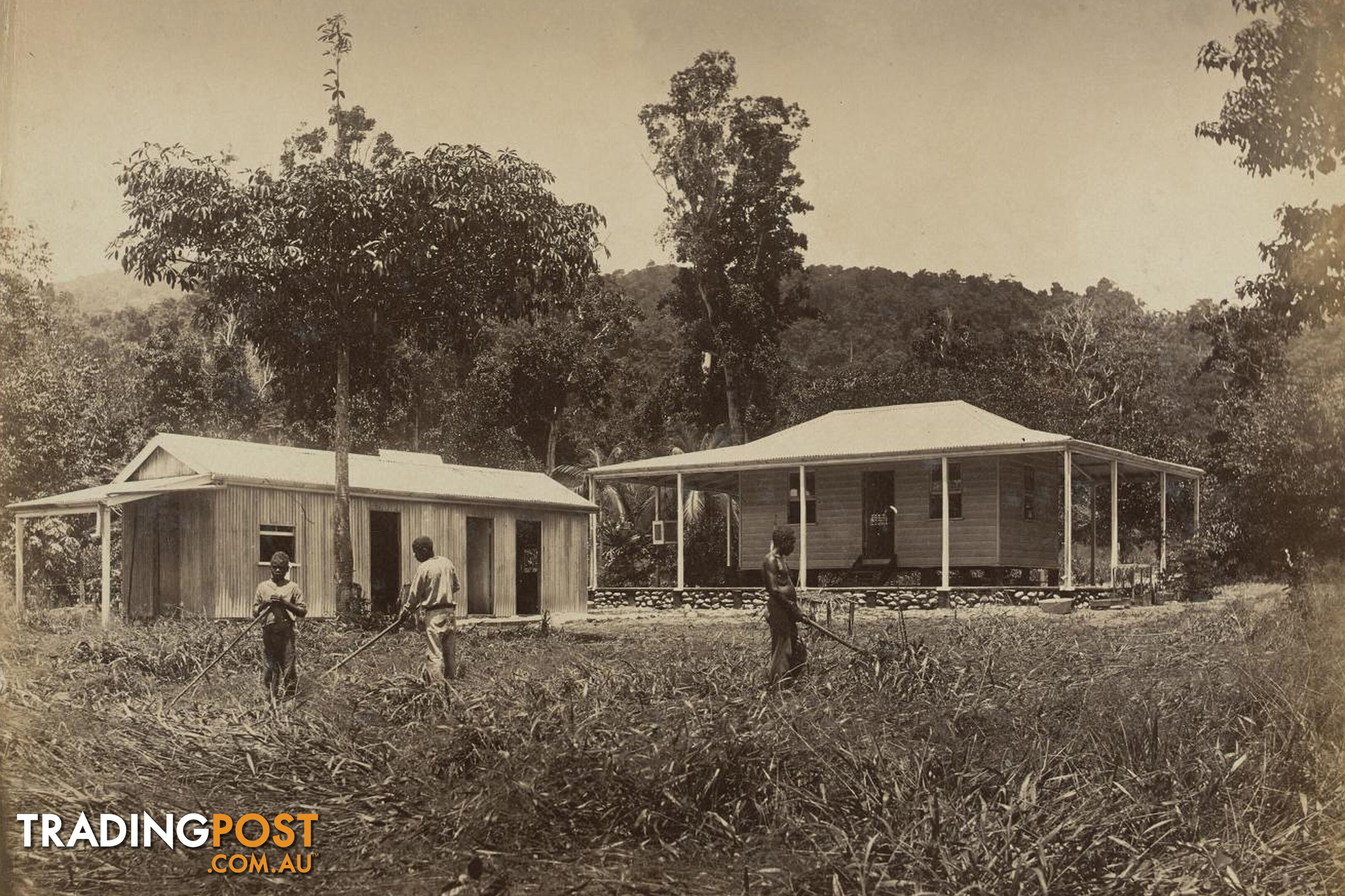 BABINDA QLD 4861