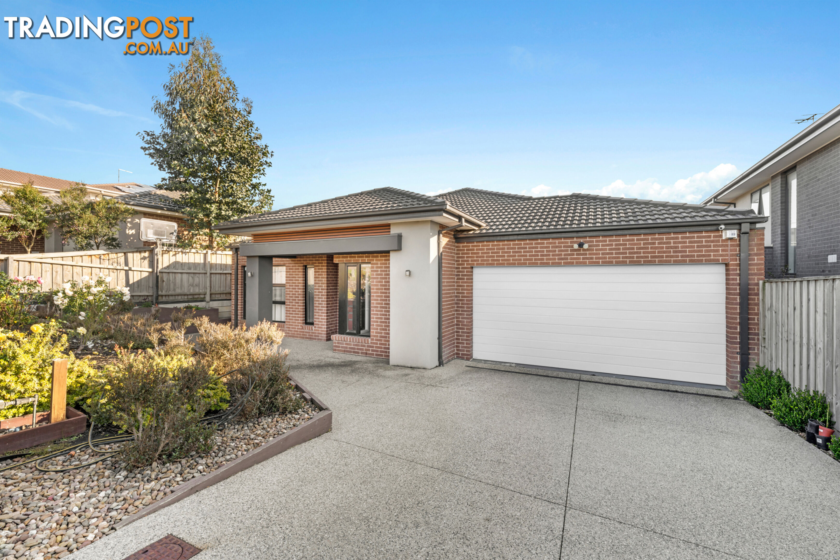 12 Dolcetto Drive BERWICK VIC 3806