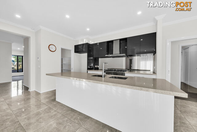 12 Dolcetto Drive BERWICK VIC 3806