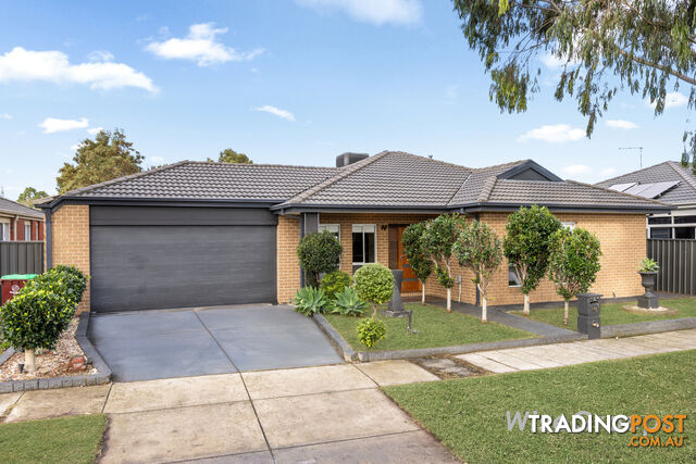 16 Boldrewood Place LYNBROOK VIC 3975