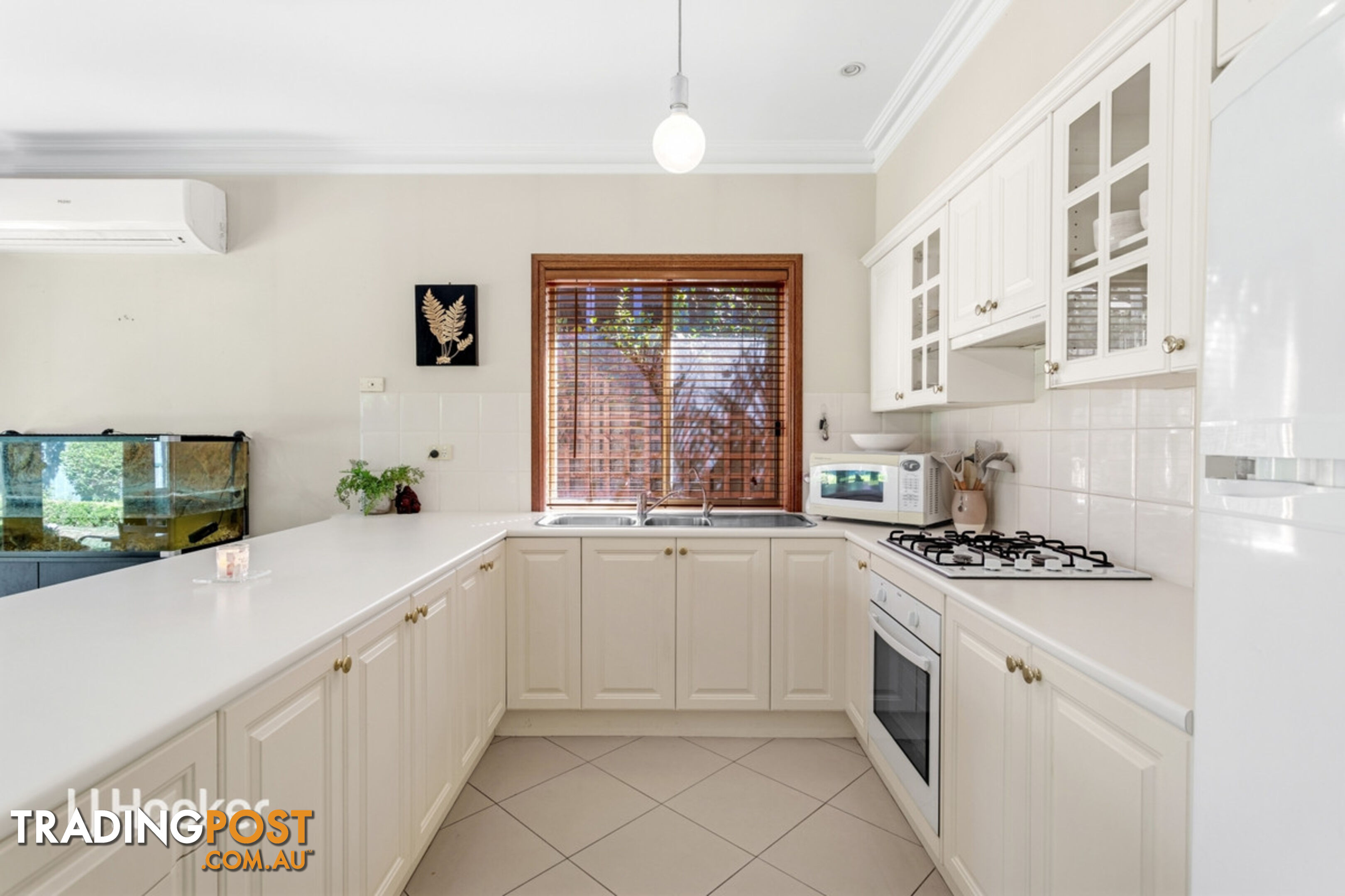 20 Newland Way MAWSON LAKES SA 5095