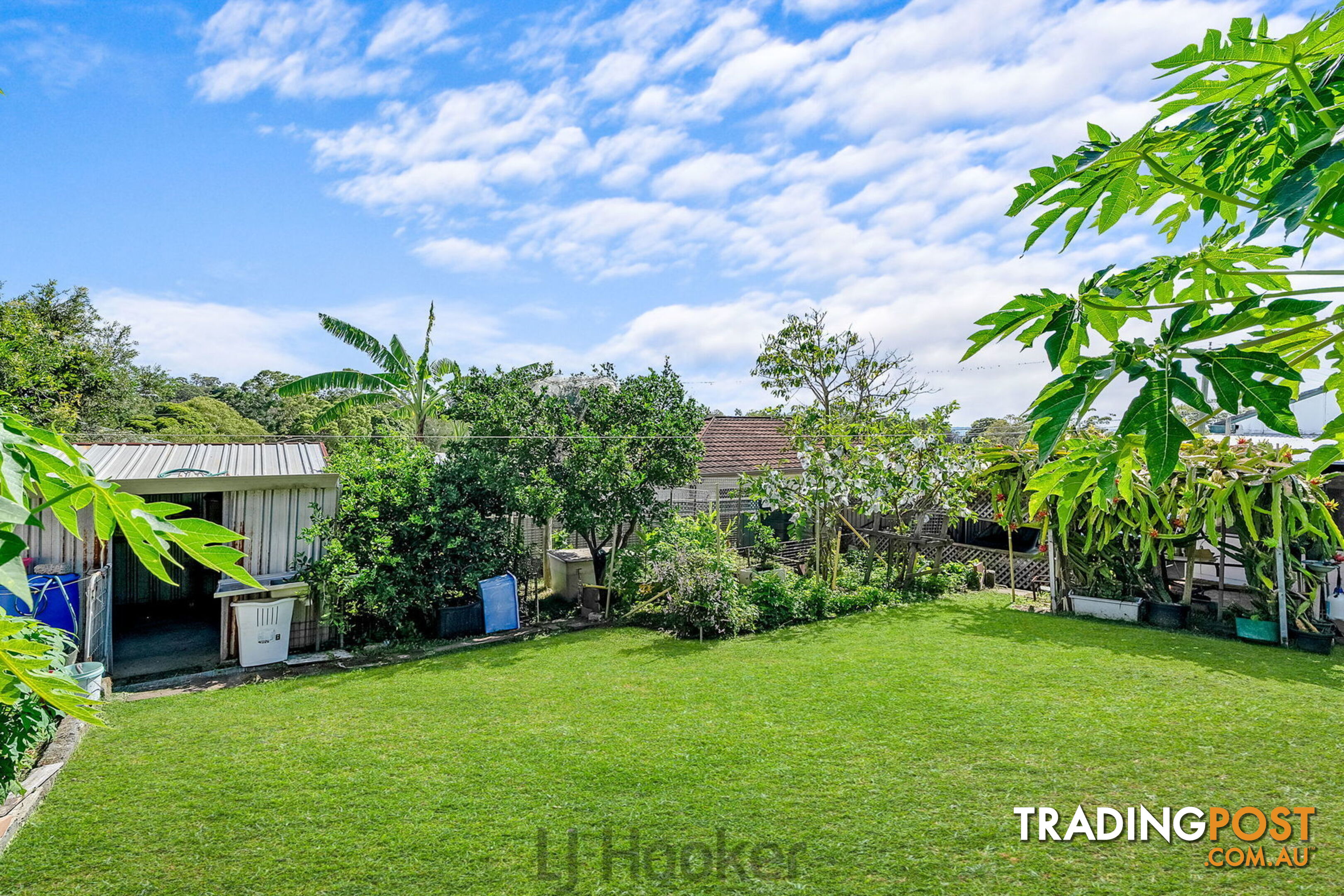 1 Carawa Street WANGI WANGI NSW 2267