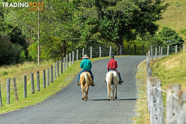 416 Woodward Road Armstrong Creek QLD 4520