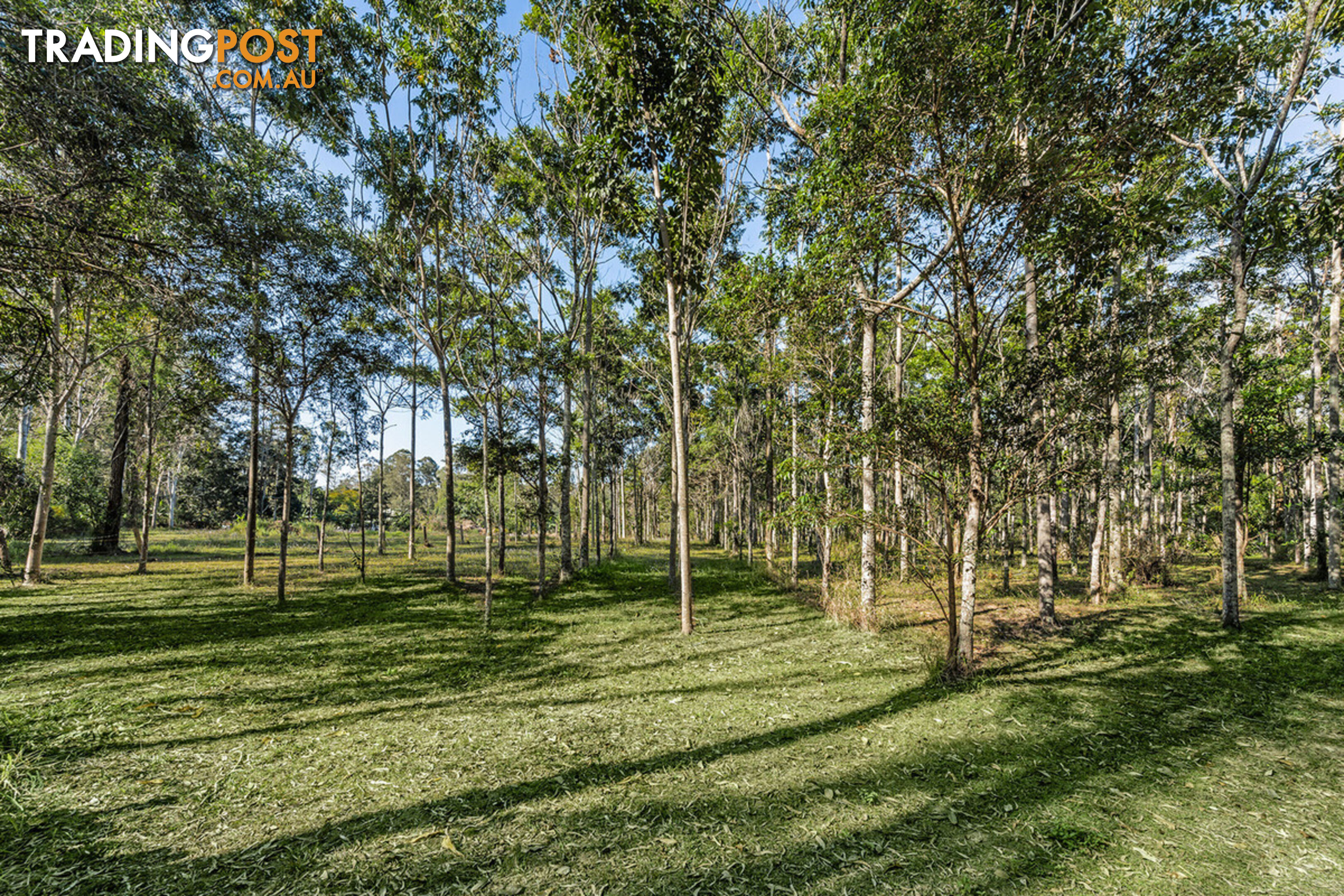 24 McCombe Road Camp Mountain QLD 4520