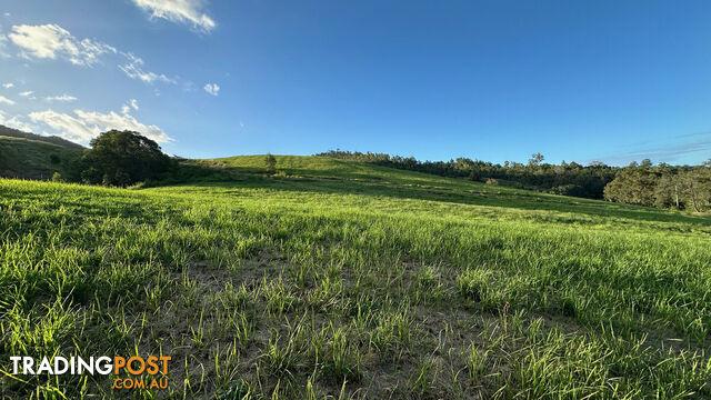 Lot 4 Armstrong Rise Estate Armstrong Creek QLD 4520