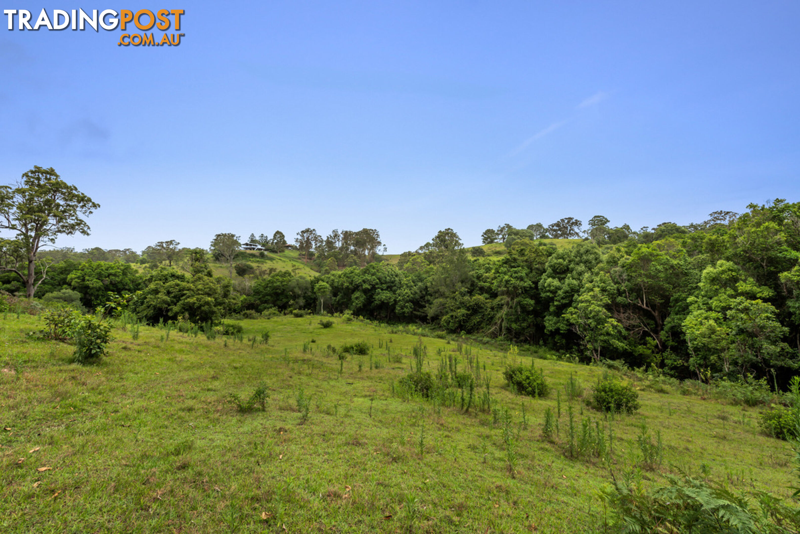 43-53 Branch Creek Road Clear Mountain QLD 4500