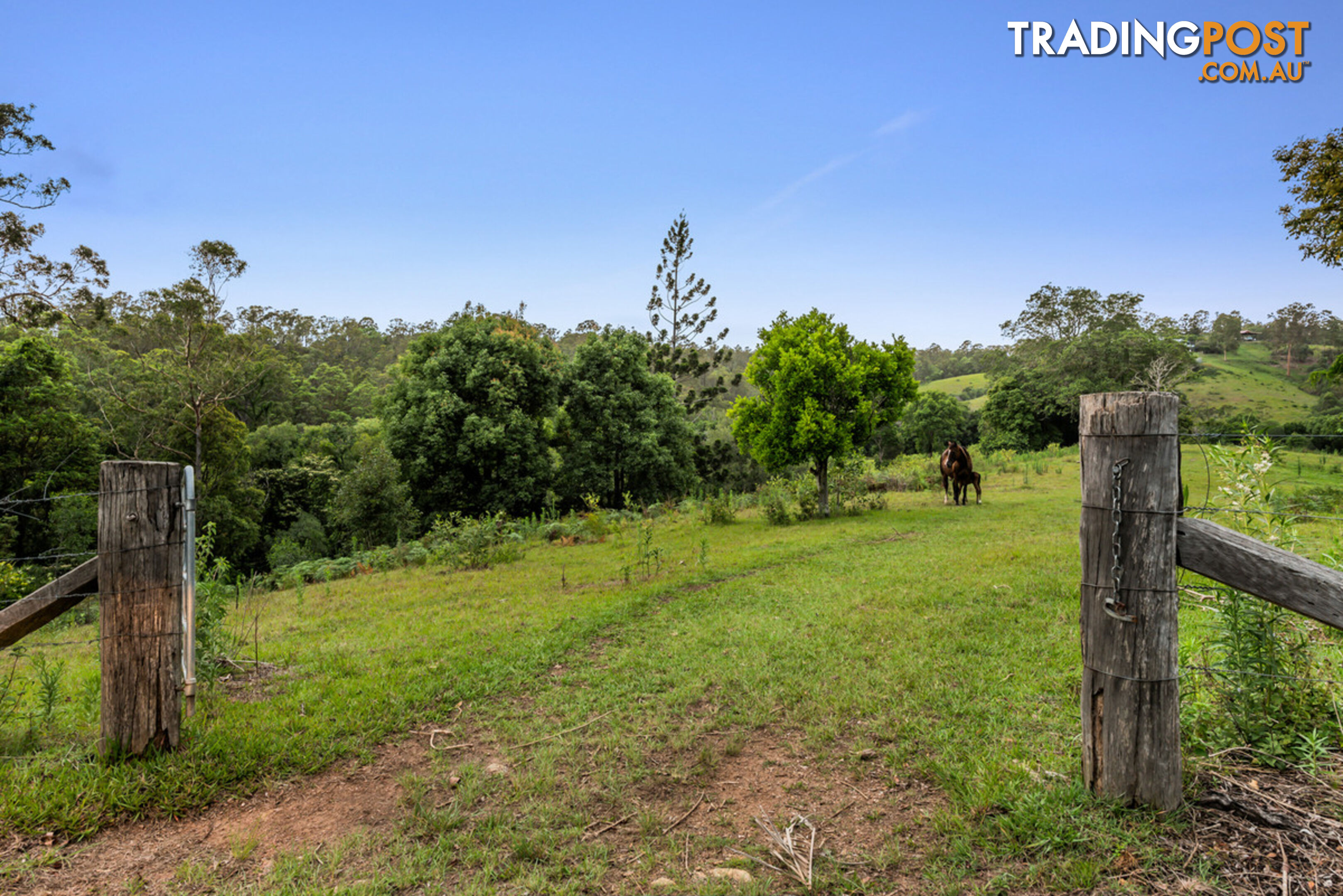 43-53 Branch Creek Road Clear Mountain QLD 4500