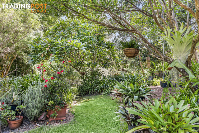 24 Brushwood Drive Samford Valley QLD 4520